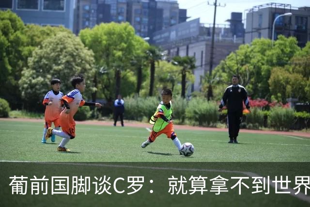 葡前国脚谈C罗：就算拿不到世界杯 他在足球史的伟大也绝不会褪色